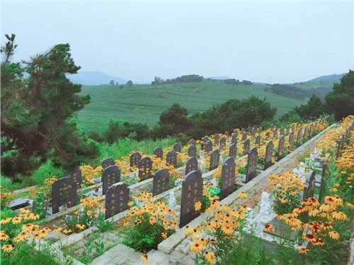 双龙山公墓